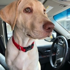 Meet your Posher, Brian